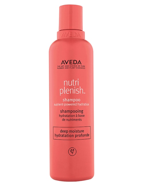 Shampoo para cabello Nutriplenish Deep Moisture 250 ml 1