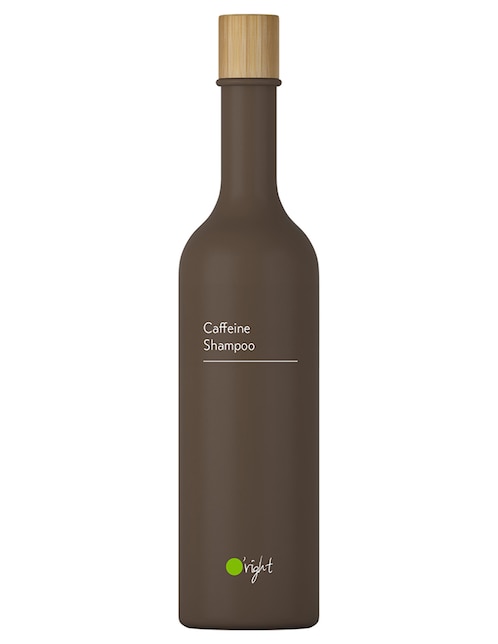 Shampoo anticaída Caffeine 400 ml 1
