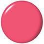 ELEPHANTASTIC PINK 1