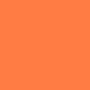 CORALDIALLY YOURS 1