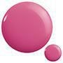 PLUM POP 5
