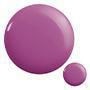 BLUEBERRY BURST 7