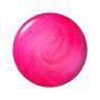 NL - LOLLYPOPPIN BUBBLEGUM 4