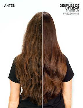 Tratamiento capilar reparador Redken Frizz Dismiss