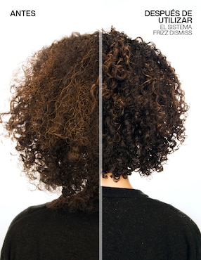 Tratamiento capilar reparador Redken Frizz Dismiss