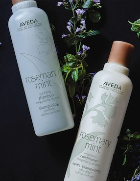 Shampoo para cabello Rosemary Mint Aveda 250 ml