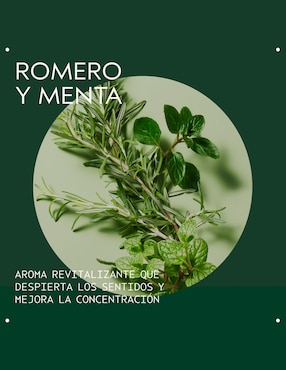 Shampoo para cabello Rosemary Mint Aveda 250 ml