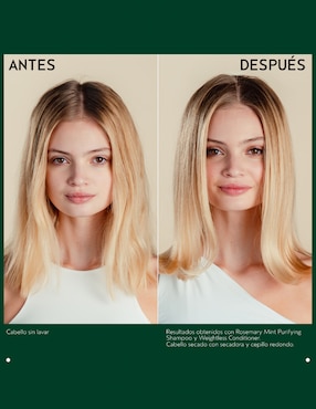 Shampoo para cabello Rosemary Mint Aveda 250 ml