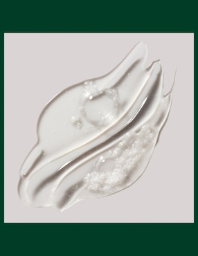 Shampoo para cabello Rosemary Mint Aveda 250 ml