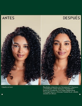 Shampoo para cabello Nutriplenish Deep Moisture Aveda 250 ml