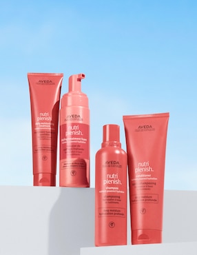 Shampoo para cabello Nutriplenish Deep Moisture Aveda 250 ml