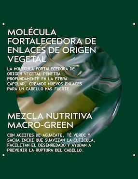 Shampoo reparador para cabello Botanical Repair Strengthening Aveda 200 ml