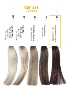 Tinte para cabello Hair Solution Gold Alternative Care tono 6.1 rubio obscuro cenizo