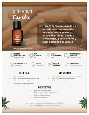 Aceite esencial Oleum Vitae 15 ml