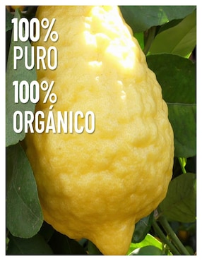 Aceite esencial Oleum Vitae de cítricos 15 ml