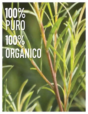 Aceite esencial Oleum Vitae de floral 15 ml