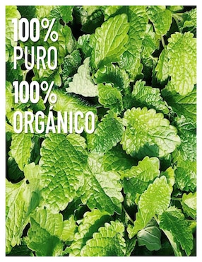 Aceite esencial Oleum Vitae 15 ml