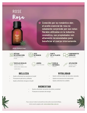 Aceite esencial Oleum Vitae 10 ml