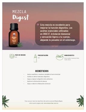Aceite esencial Oleum Vitae 15 ml