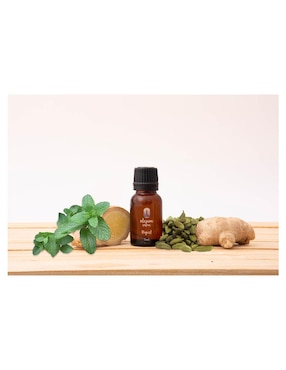 Aceite esencial Oleum Vitae 15 ml