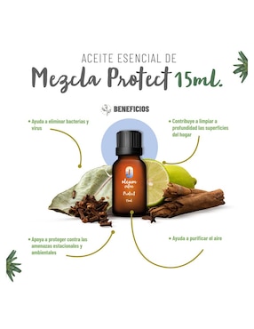 Aceite esencial Oleum Vitae 15 ml