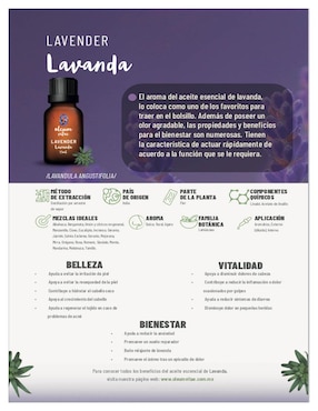 Aceite esencial Oleum Vitae 15 ml
