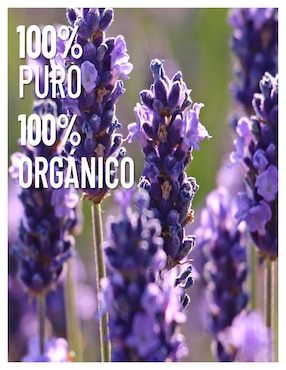 Aceite esencial Oleum Vitae 15 ml