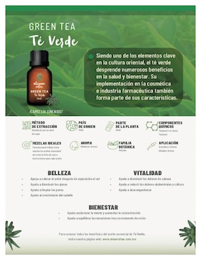 Aceite esencial Oleum Vitae 15 ml