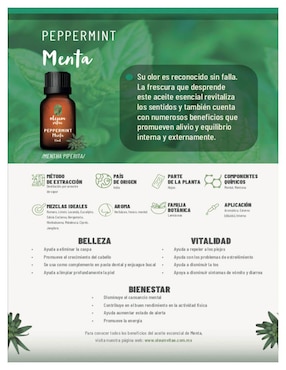 Aceite esencial Oleum Vitae 15 ml