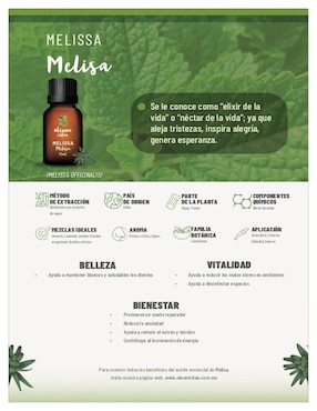 Aceite esencial Oleum Vitae 15 ml