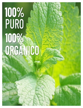 Aceite esencial Oleum Vitae 15 ml