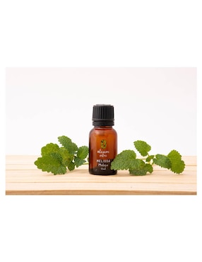 Aceite esencial Oleum Vitae 15 ml