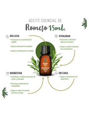 Aceite esencial Oleum Vitae 15 ml