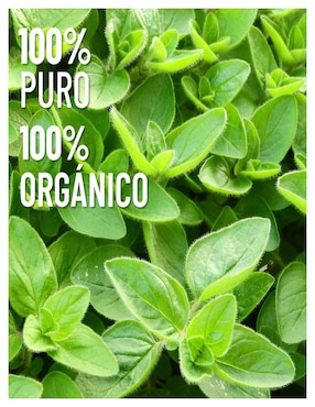 Aceite esencial Oleum Vitae de herbal 15 ml