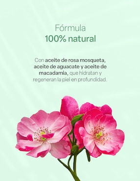 Sérum hidratante facial Teia de piel seca