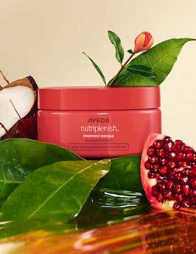 Mascarilla Capilar para hidratar Aveda Nutriplenish Deep Moisture