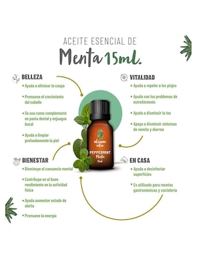 Aceite esencial Oleum Vitae 15 ml