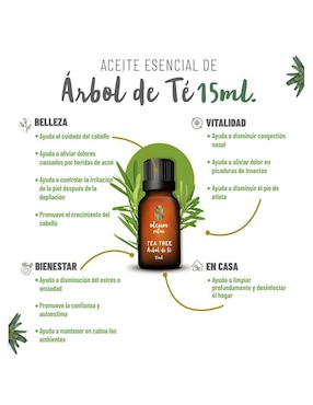 Aceite esencial Oleum Vitae 15 ml