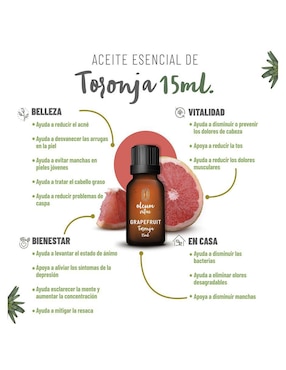 Aceite esencial Oleum Vitae 15 ml