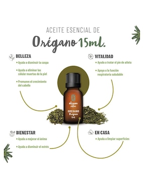 Aceite esencial Oleum Vitae 15 ml