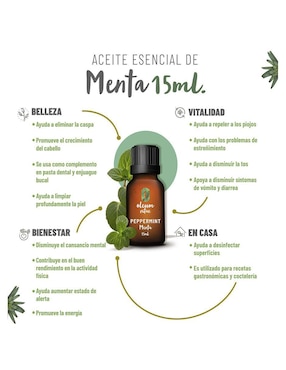Aceite esencial Oleum Vitae 15 ml