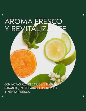Shampoo reparador para cabello Scalp Solutions Aveda 200 ml