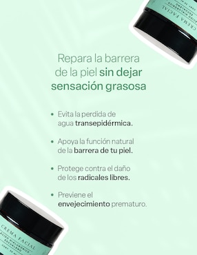 Crema facial recomendada para hidratar día y noche Teia para todo tipo piel