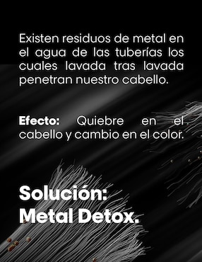 Crema para todo tipo de cabello Metal Detox L'Oreal Professionnel para antifrizz