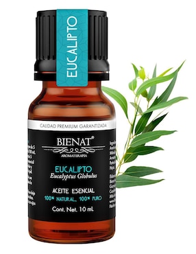 Aceite esencial Bienat de eucalipto 10 ml