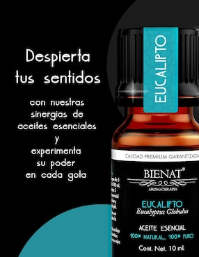 Aceite esencial Bienat de eucalipto 10 ml