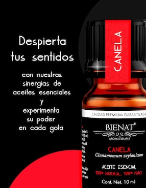 Infusión Bienat de canela