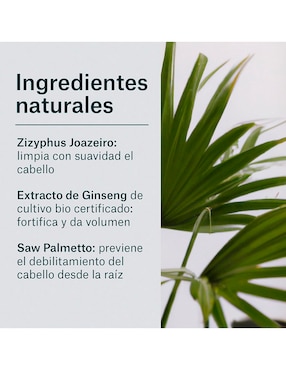 Shampoo anticaspa Vigorizante Naturaleza y Vida 300 ml