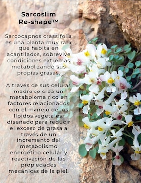 Crema para cuerpo recomendada para reafirmar día y noche Nunun Skin para todo tipo piel