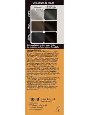 Tinte para cabello permanente en polvo Bigen Naturales tono 2.1 negro azulado